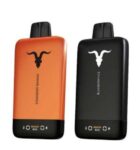 Ignite V155